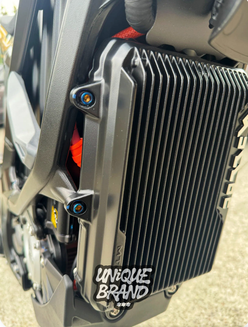 Ultra Bee Controller Titanium Bolts